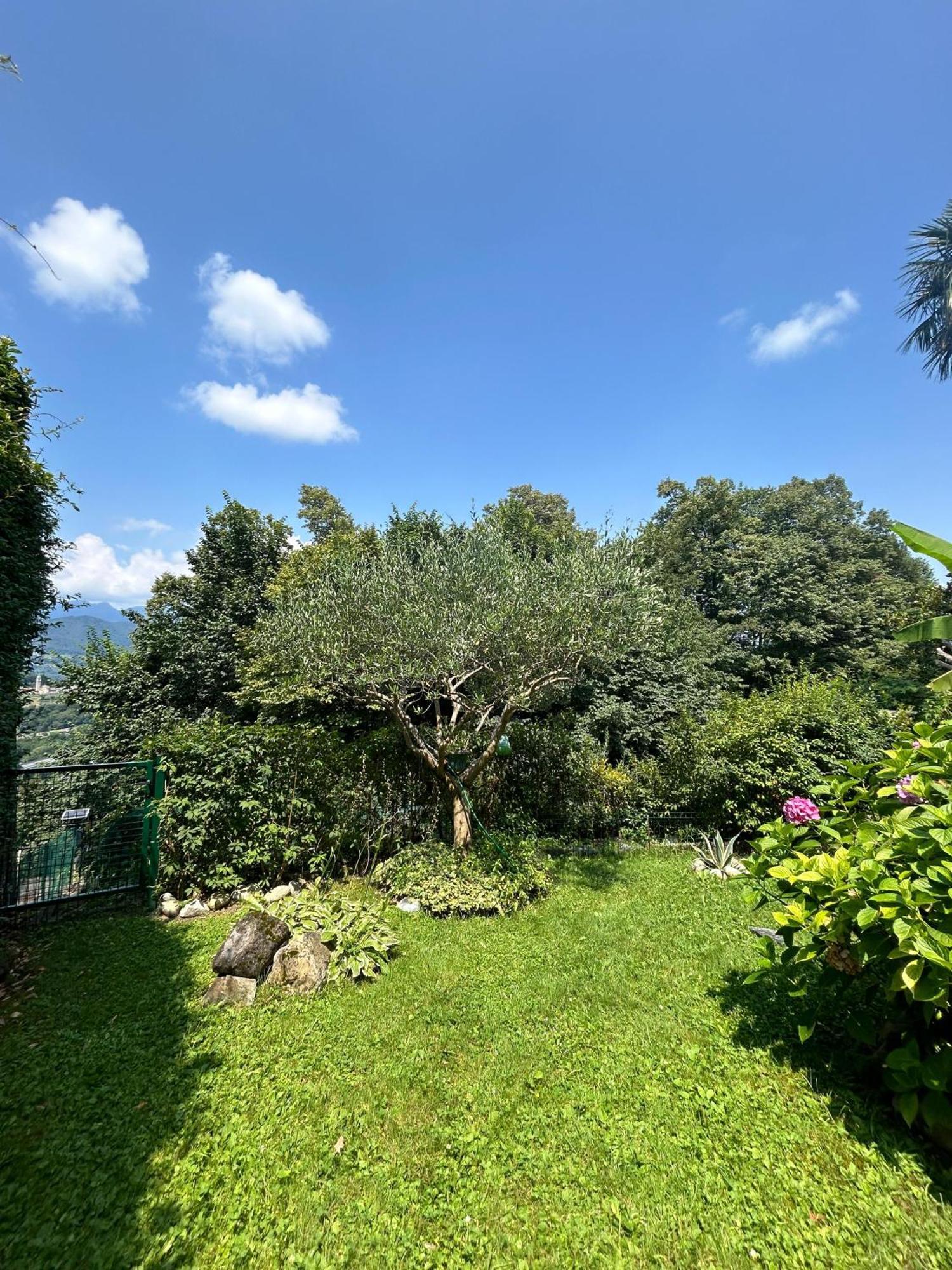 I Vallata Paradise I Free Parking - Garden&View - 10Minutes From Lugano Extérieur photo